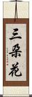三朶花 Scroll