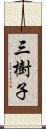 三樹子 Scroll