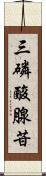 三磷酸腺苷 Scroll