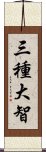 三種大智 Scroll