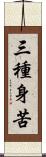 三種身苦 Scroll