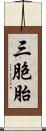 三胞胎 Scroll