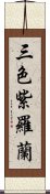 三色紫羅蘭 Scroll