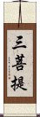 三菩提 Scroll