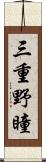 三重野瞳 Scroll