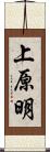 上原明 Scroll