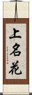 上名花 Scroll