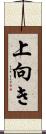 上向き Scroll