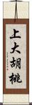 上大胡桃 Scroll