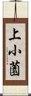 上小薗 Scroll