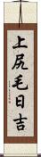 上尻毛日吉 Scroll