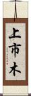上市木 Scroll
