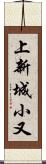 上新城小又 Scroll