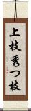 上枝 Scroll