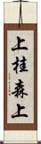 上桂森上 Scroll