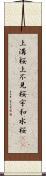 上溝桜 Scroll