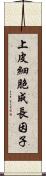 上皮細胞成長因子 Scroll