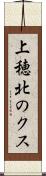 上穂北のクス Scroll