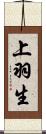 上羽生 Scroll