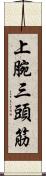 上腕三頭筋 Scroll
