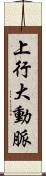 上行大動脈 Scroll