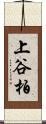 上谷柏 Scroll