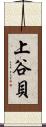 上谷貝 Scroll