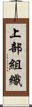 上部組織 Scroll