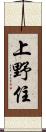 上野住 Scroll