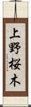 上野桜木 Scroll