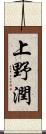 上野潤 Scroll