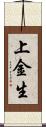 上金生 Scroll