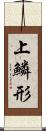 上鱗形 Scroll