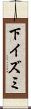 下イズミ Scroll