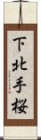 下北手桜 Scroll