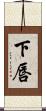 下唇 Scroll