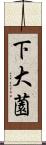 下大薗 Scroll