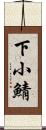 下小鯖 Scroll