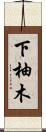 下柚木 Scroll