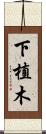 下植木 Scroll