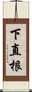 下直根 Scroll