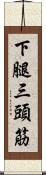 下腿三頭筋 Scroll