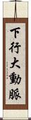 下行大動脈 Scroll