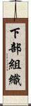 下部組織 Scroll