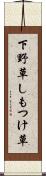 下野草 Scroll