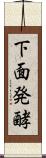 下面発酵 Scroll