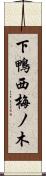 下鴨西梅ノ木 Scroll