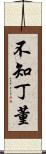 不知丁董 Scroll