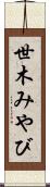 世木みやび Scroll
