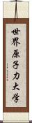 世界原子力大学 Scroll